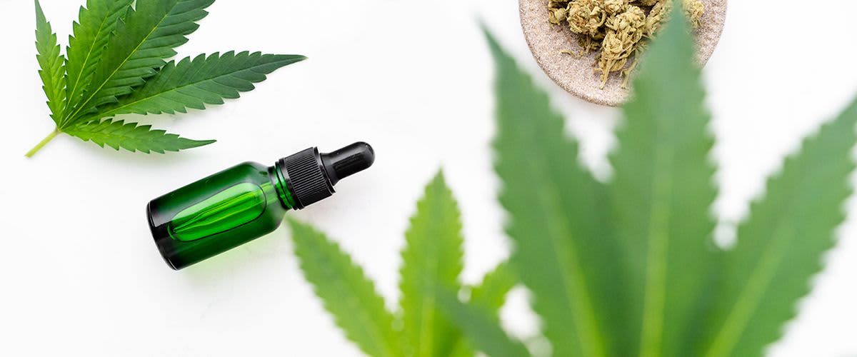 Kender – egy áldás a bőrnek és a hajnak