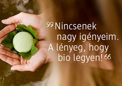 fenntartható márkák