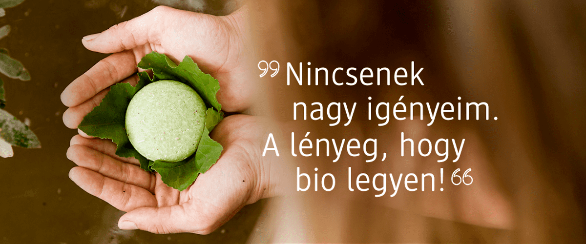 fenntartható márkák