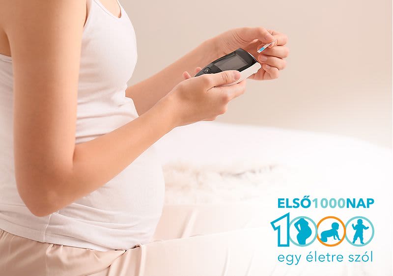 Az immunrendszer segítői