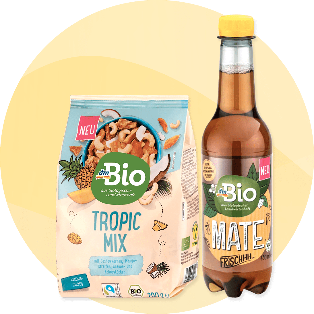 Succo di mango e ananas disidratato dmBio