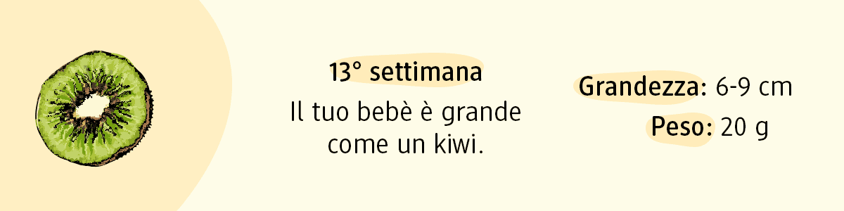 13ª settimana di gravidanza