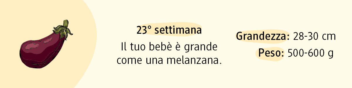 23ª settimana di gravidanza