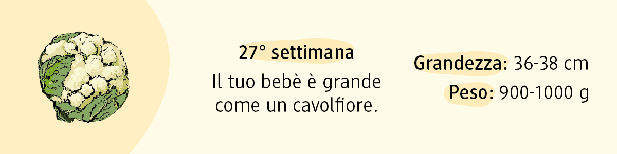 27ª settimana di gravidanza