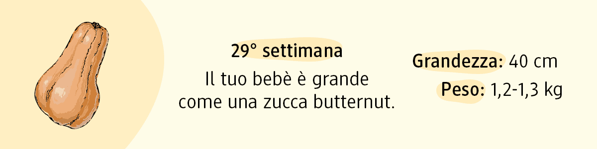 29ª settimana di gravidanza