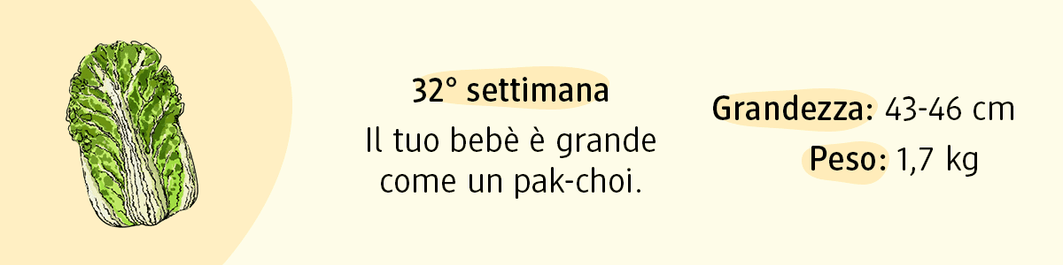 32ª settimana di gravidanza