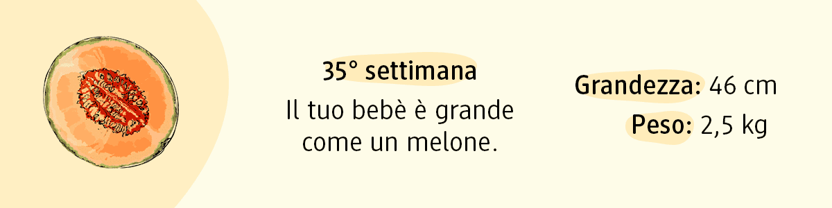 35ª settimana di gravidanza