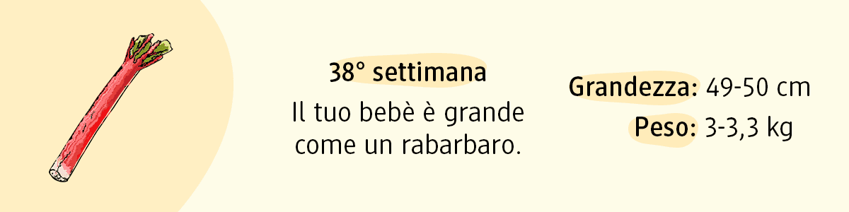 38ª settimana di gravidanza