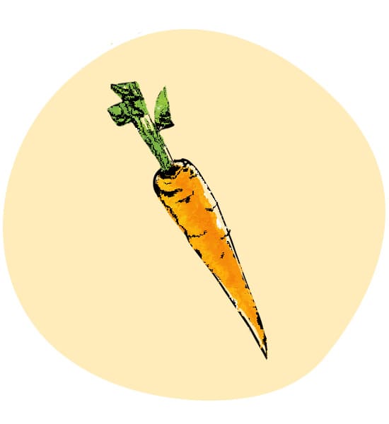 carota