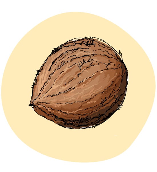 noce di cocco
