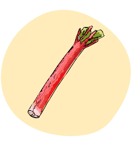 rabarbaro
