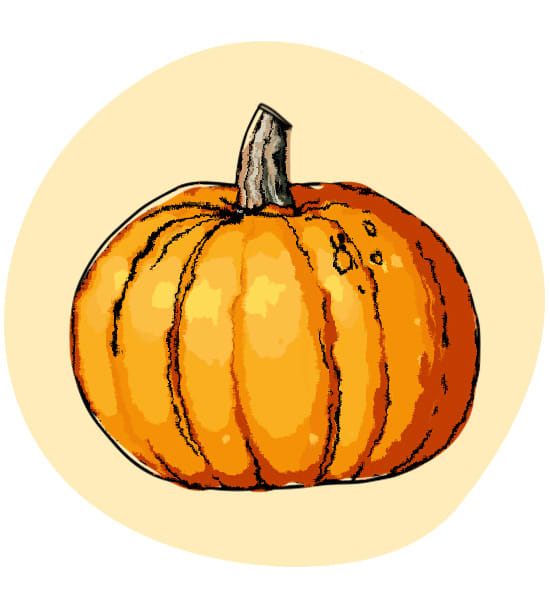 zucca