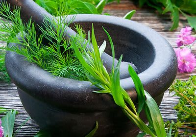Erbe e piante nella cosmesi naturale