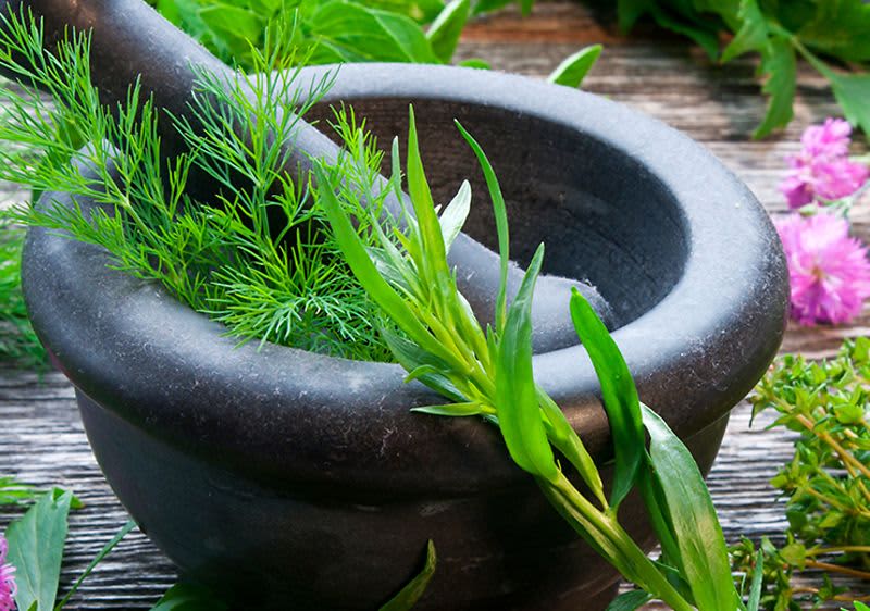 Erbe e piante nella cosmesi naturale