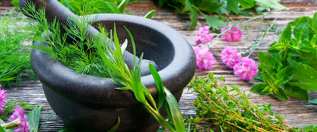 Erbe e piante nella cosmesi naturale