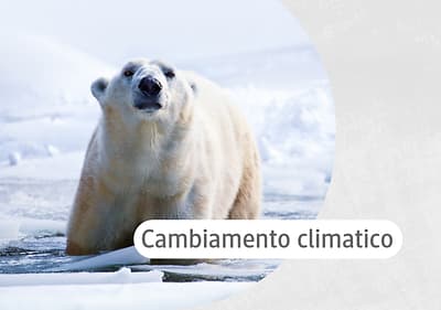 pro climate cambiamento climatico