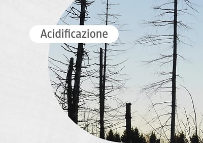 pro climate acidificazione