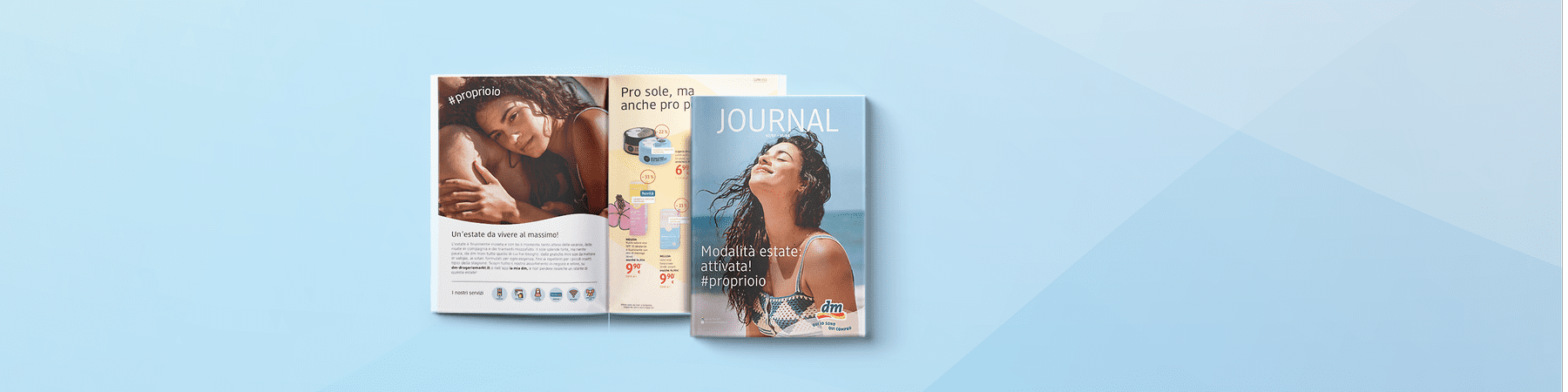 Journal
