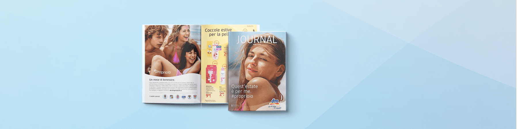 Journal