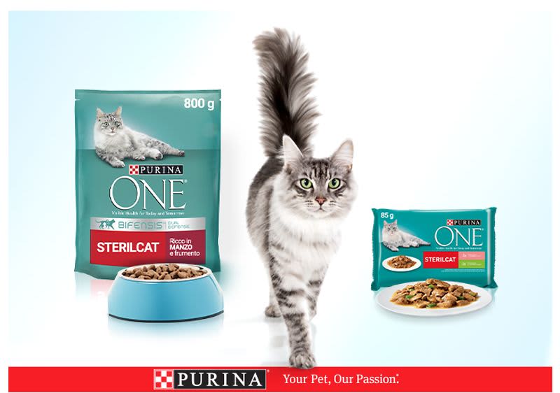Purina One