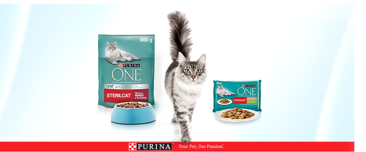 Purina One