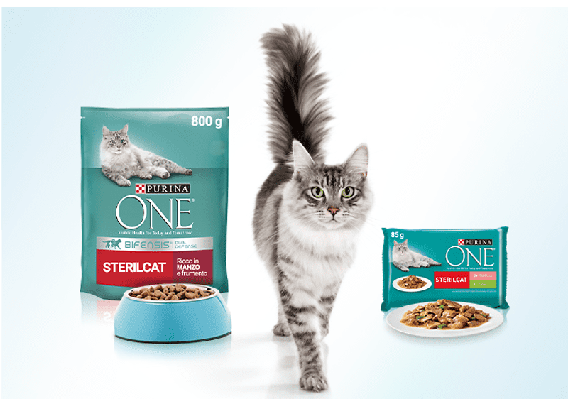 Purina One - Bühne