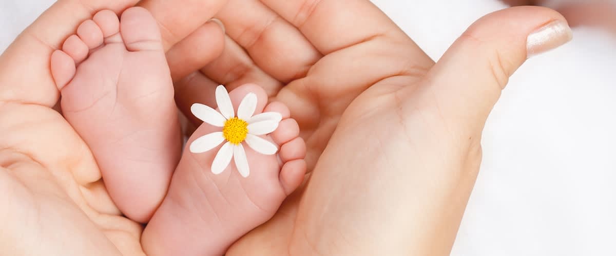 Hände halten Babyfüße mit Blume