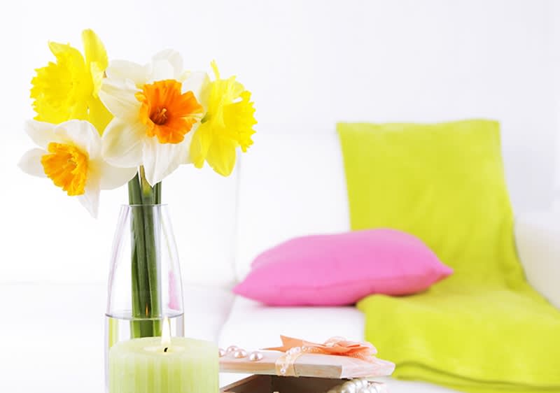 Ecco come avvolgere la tua casa con il fresco profumo di primavera