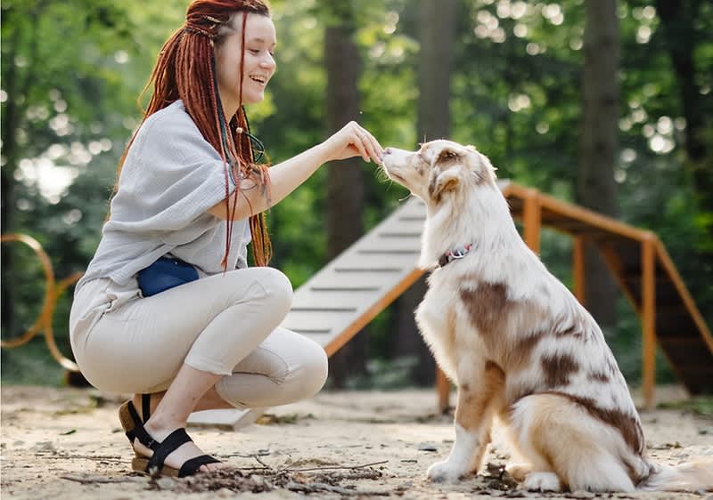 croccantini per cani fai da te