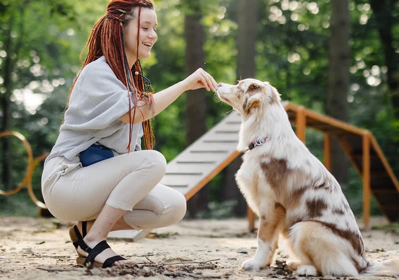 croccantini per cani fai da te