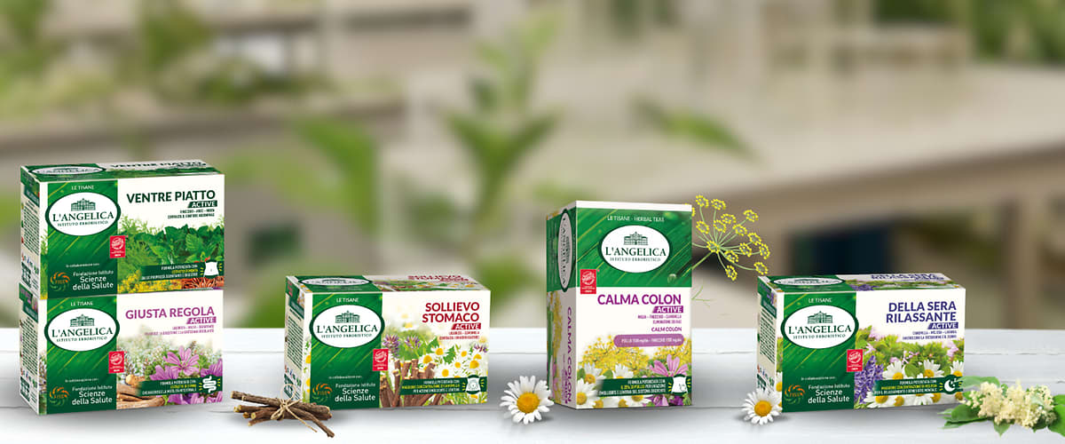 L'ANGELICA Tisane Active