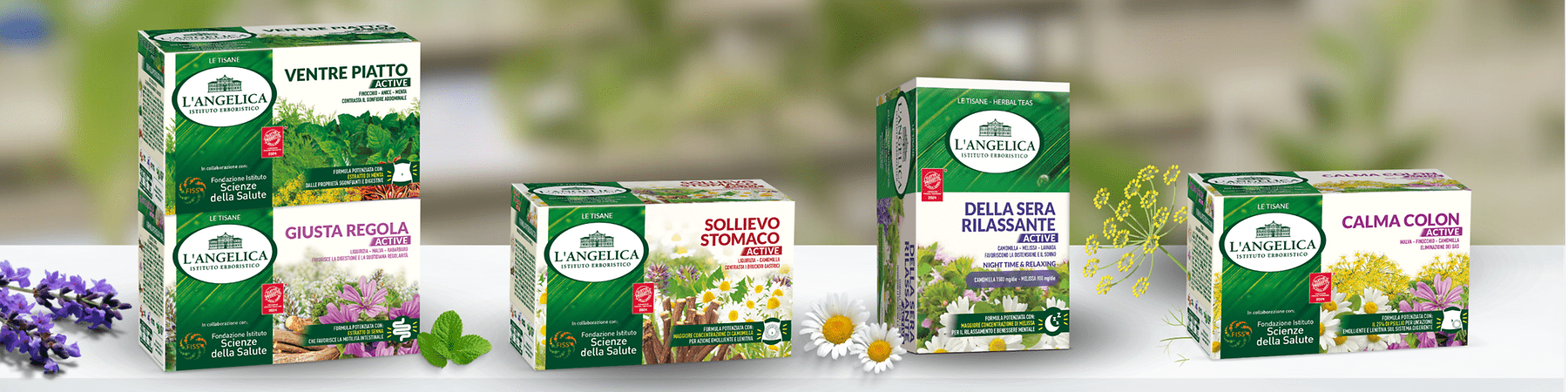 L'ANGELICA Tisane Active