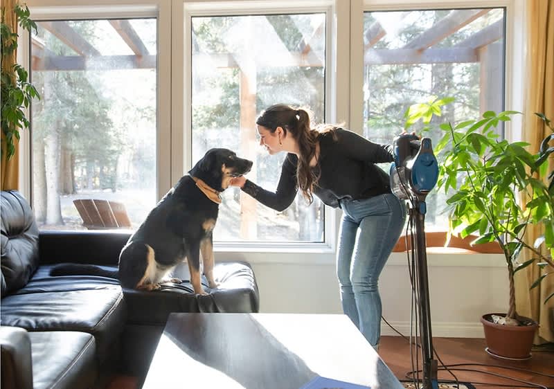 Tenere casa pulita con gli animali