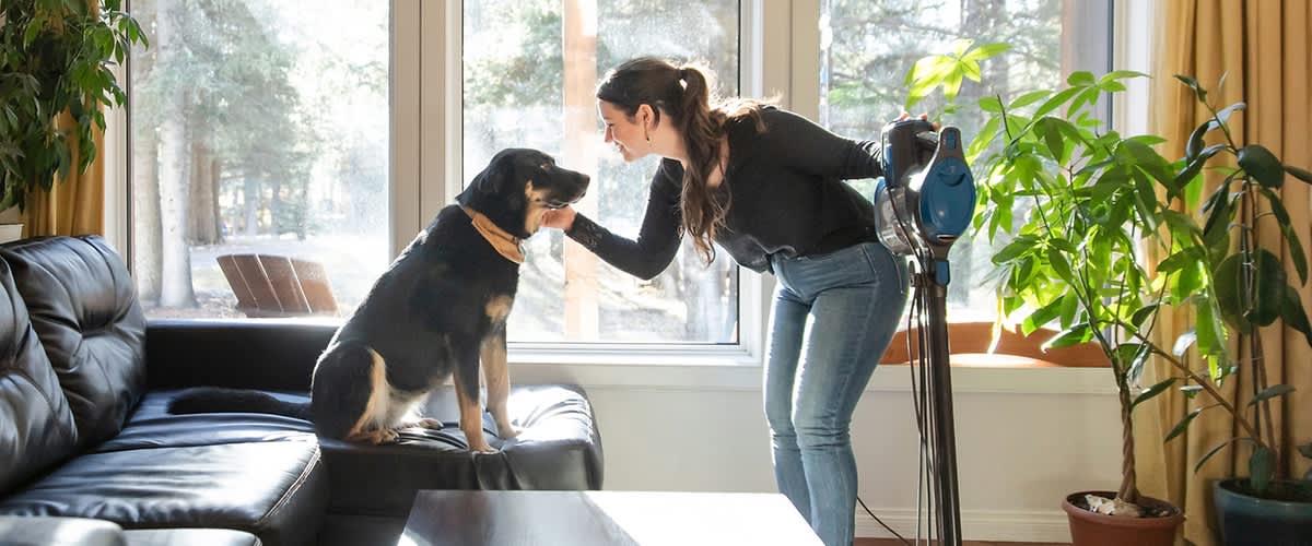 Tenere casa pulita con gli animali