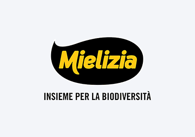 Logo Mielizia
