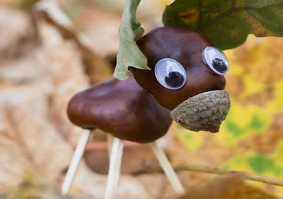 Castagna creativa decorata con occhi finti con sfondo di foglie autunnali