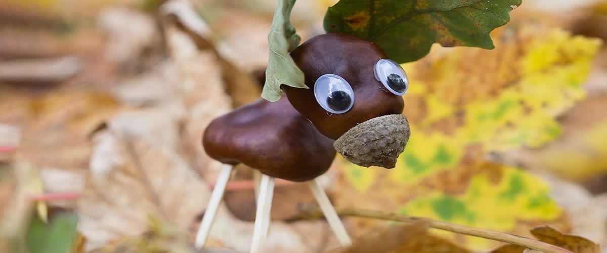 Castagna creativa decorata con occhi finti con sfondo di foglie autunnali