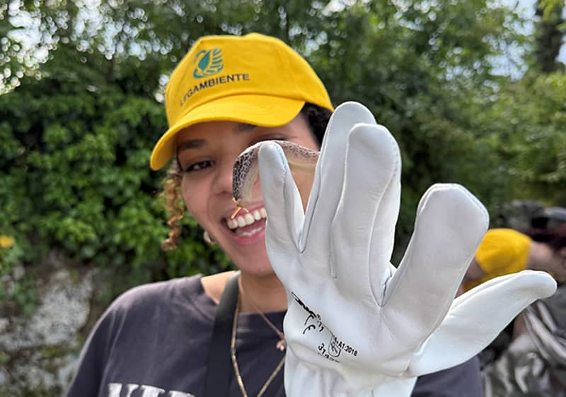 Una persona con cappello giallo e guanti bianchi mostra la mano. Sfondo di alberi verdi.