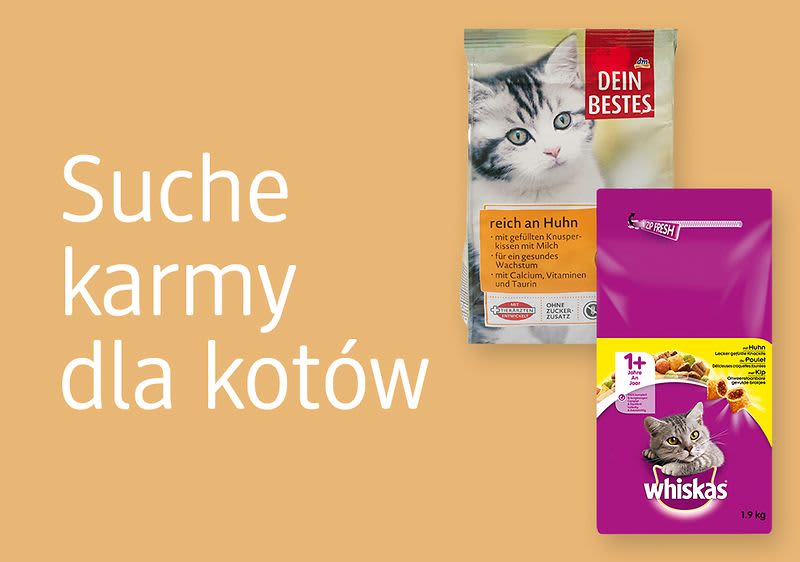 Sucha karma dla kotów