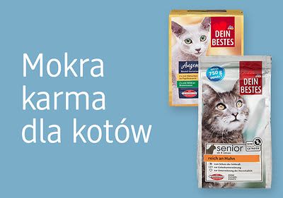 Mokra karma dla kotów