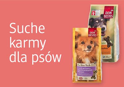 Sucha karma dla psów