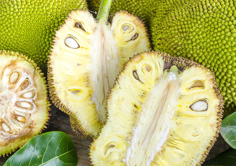 Oto jak wygląda dżakfrut od środka