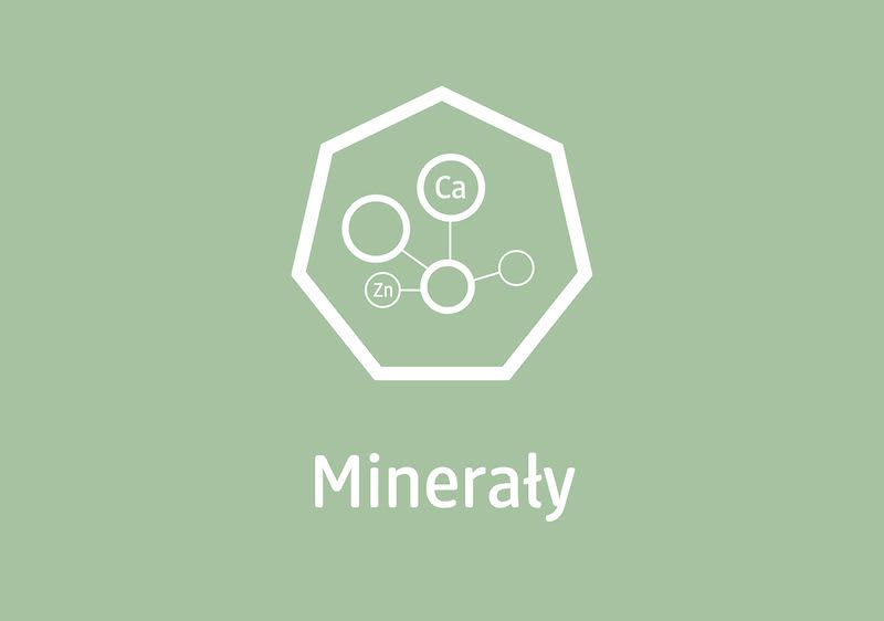 Aloes – składniki mineralne