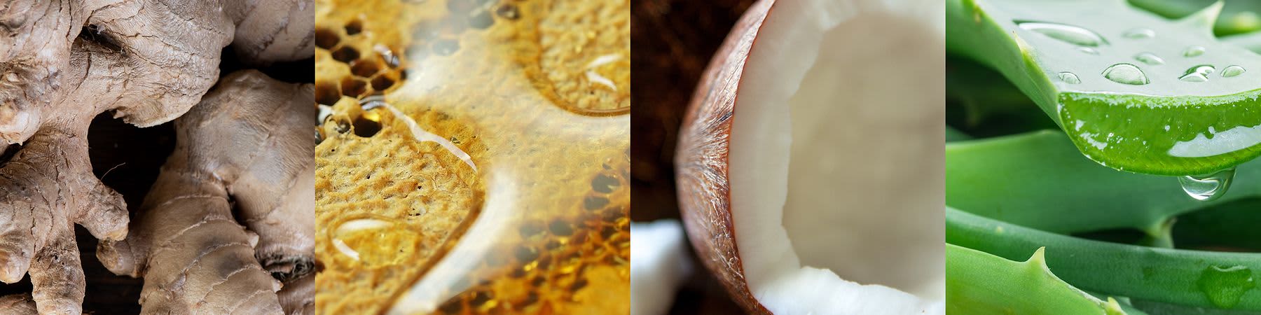 Składniki od A do Z w skrócie