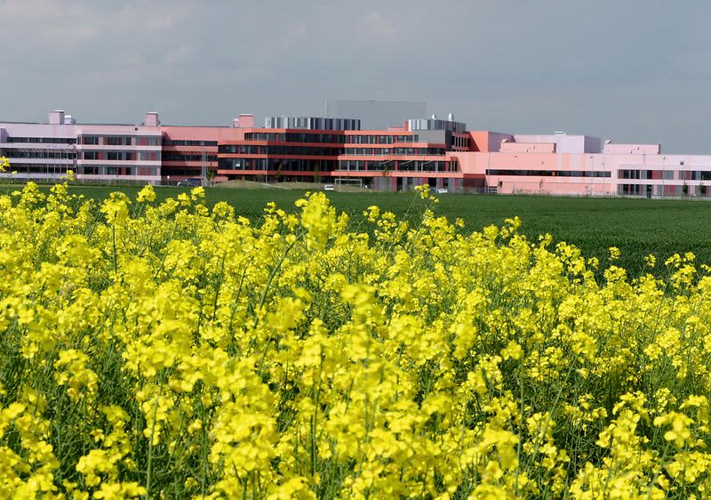 Zdjęcie centrum dystrybucyjnego dm w Weilerswist