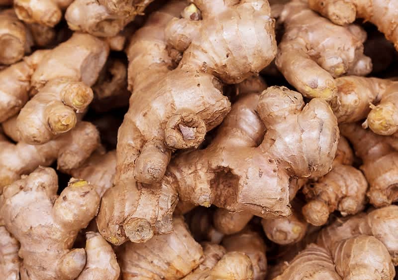 Korzeń imbiru
