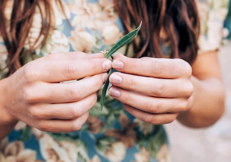 Salbei & Ingwer: Heilmittel aus der Natur
