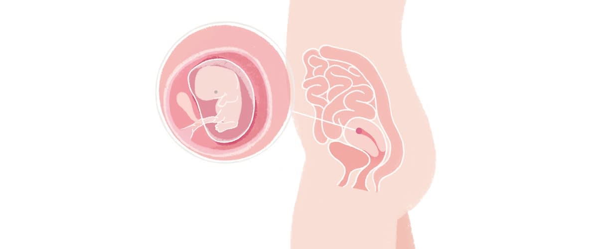 Dziecko w ósmym tygodniu ciąży