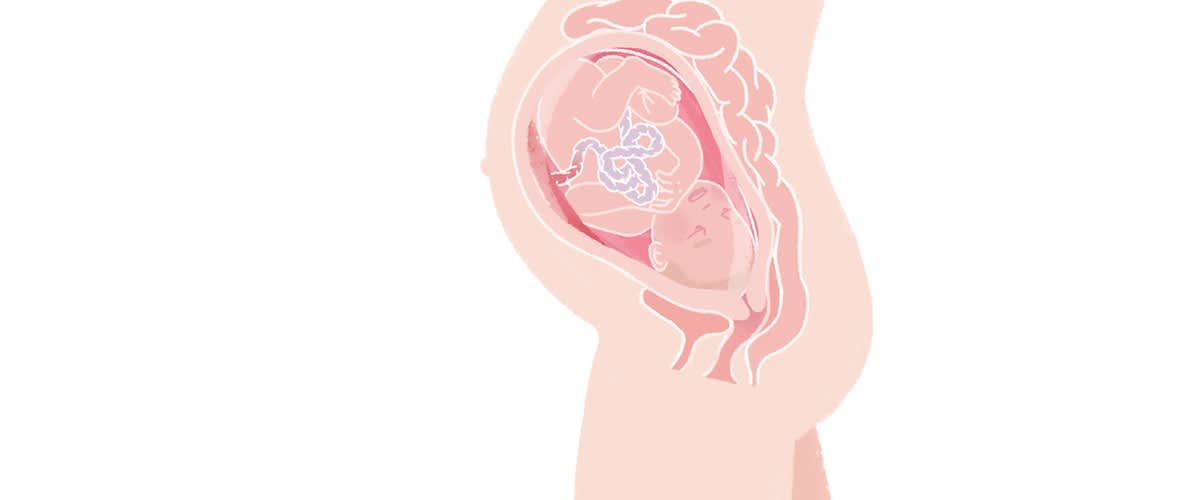Baby in der 35. SSW
