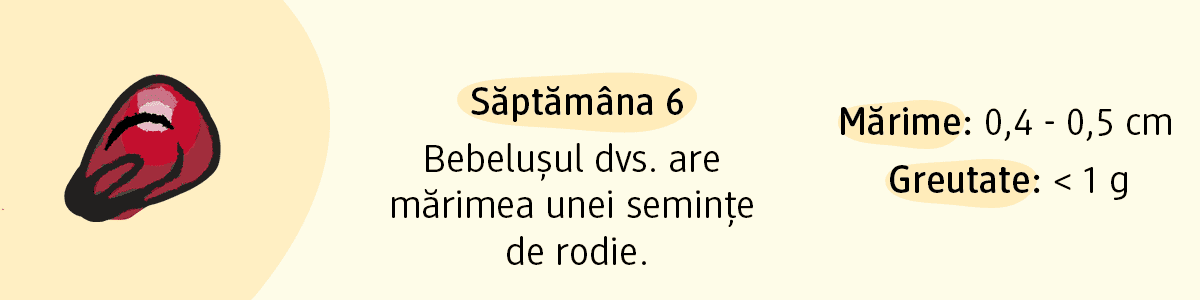 Text despre mărime și greutate: 0,4-0,5 cm și sub 1 g